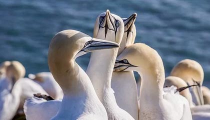 pixiv盘点：八卦3大误区，明星上榜理由彻底令人迷醉