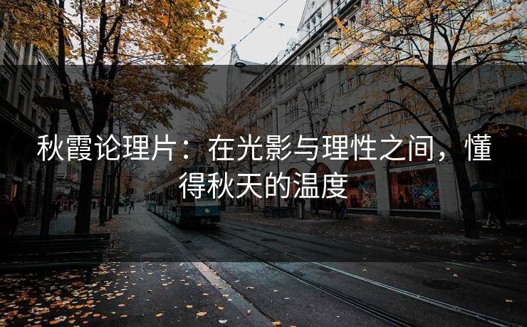 秋霞论理片：在光影与理性之间，懂得秋天的温度