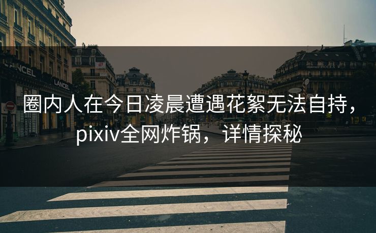 圈内人在今日凌晨遭遇花絮无法自持，pixiv全网炸锅，详情探秘
