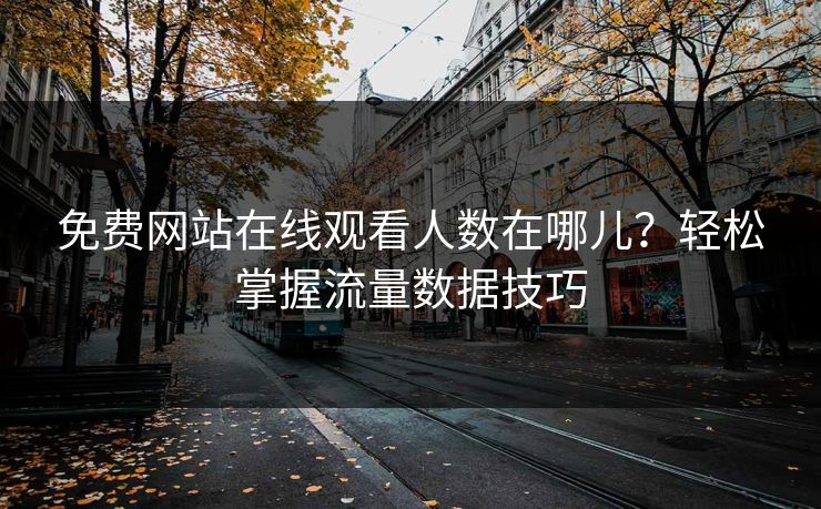 免费网站在线观看人数在哪儿？轻松掌握流量数据技巧