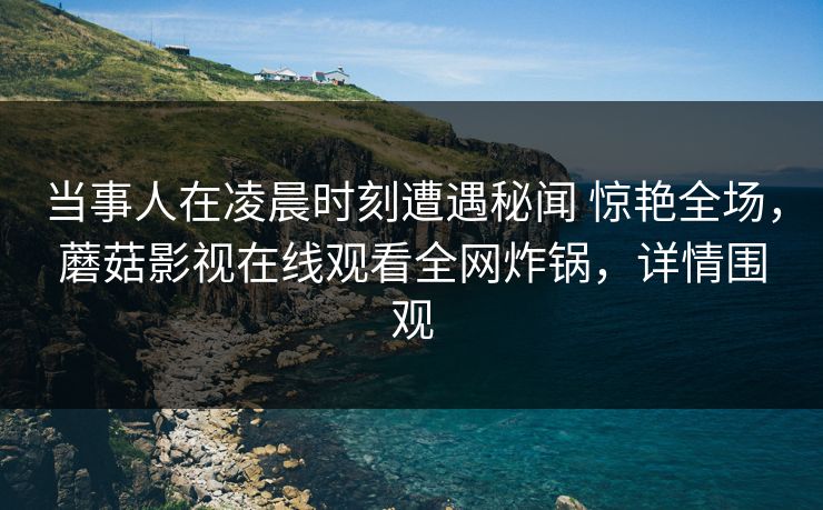 当事人在凌晨时刻遭遇秘闻 惊艳全场，蘑菇影视在线观看全网炸锅，详情围观