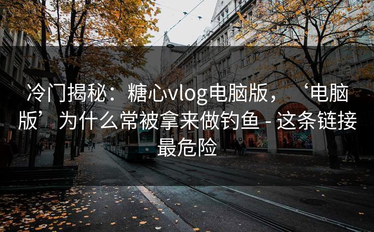 冷门揭秘：糖心vlog电脑版，‘电脑版’为什么常被拿来做钓鱼 - 这条链接最危险