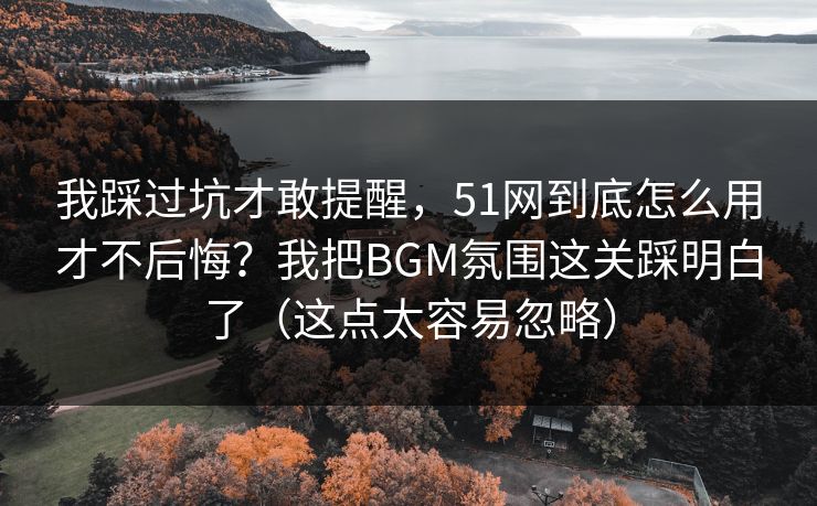我踩过坑才敢提醒,51网到底怎么用才不后悔?我把BGM氛围这关踩明白了(这点太容易忽略)